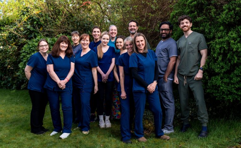 Meet the Team